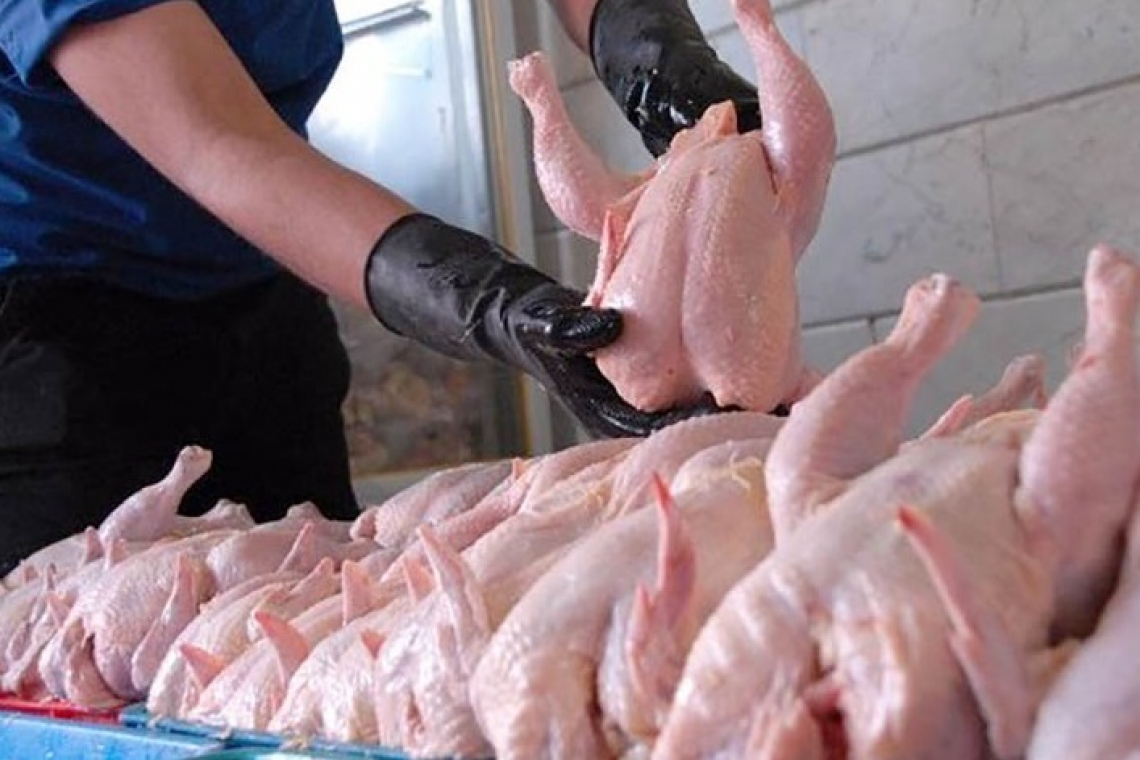 میزان مصرف گوشت مرغ در خراسان شمالی کاهش یافته است