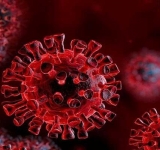 تفاوت ویروس جهش یافته کرونا با گونه قبلی / خطرناک‌ترین جهش کووید در آفریقا