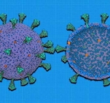 ابداع نخستین مدل محاسباتی کاربردی برای بررسی کروناویروس