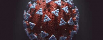 ببینید | اولین تصویر سه‌بعدی واقعی از ویروس کرونا