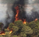عرصه های طبیعی خسته از خشونت آتش